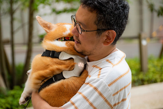 犬 気持ち 行動