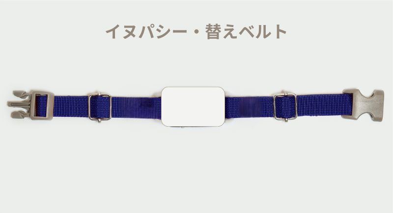 イヌパシー専用 首輪ベルトのみ