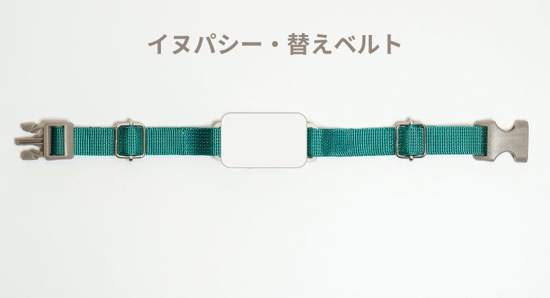 イヌパシー専用 首輪ベルトのみ