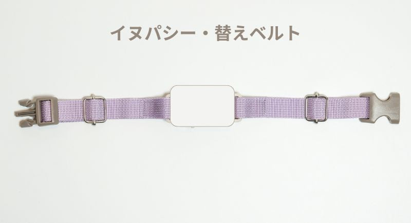 イヌパシー専用 首輪ベルトのみ