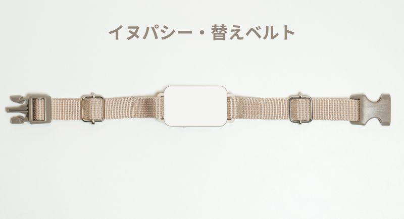 イヌパシー専用 首輪ベルトのみ