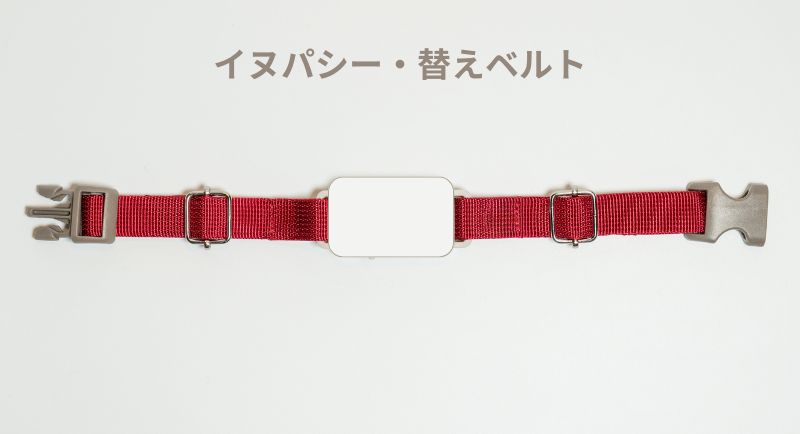 イヌパシー専用 首輪ベルトのみ