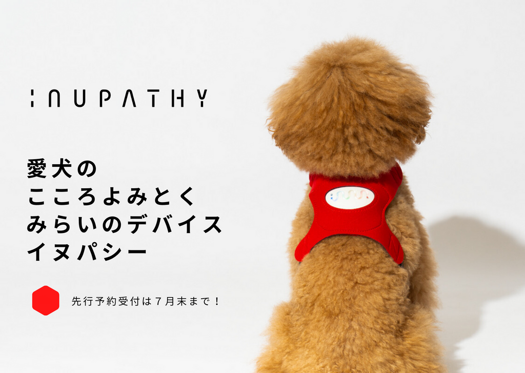 イヌパシー•カラー Sサイズ inupathy collar - 犬服・アクセサリー