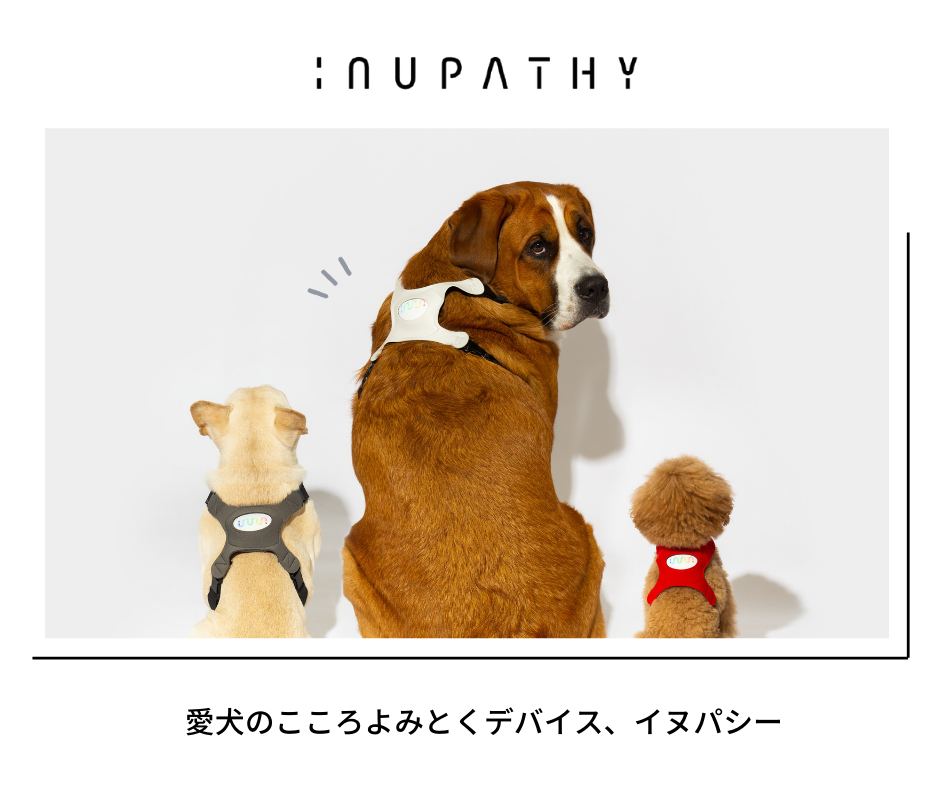 イヌパシー本体・ハーネスセット INUPATHY-