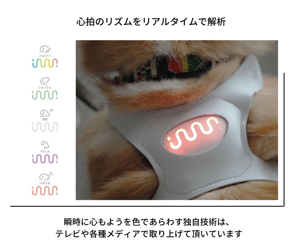 2022高い素材 イヌパシー本体・ハーネスセット INUPATHY 犬用品