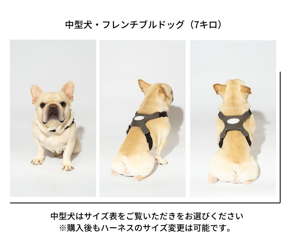 愛犬のこころを心拍で解析するイヌパシー®INUPATHY